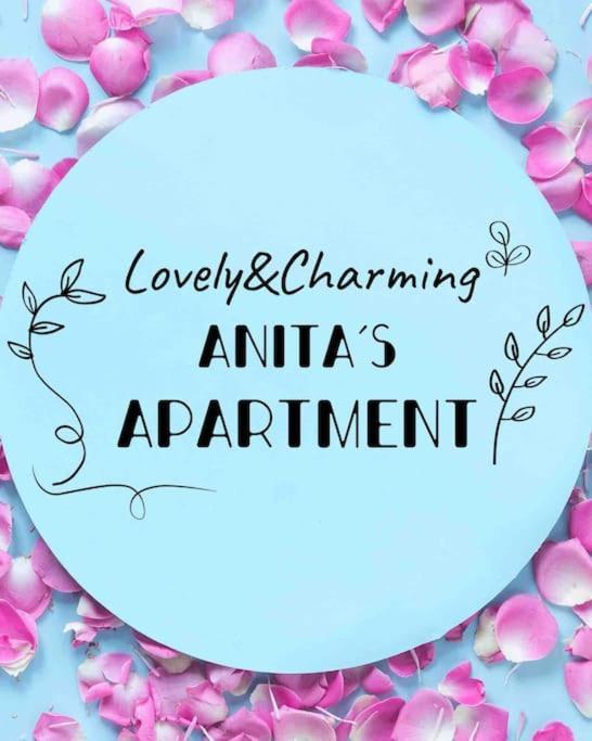 Lovely&Charming Anita'S Apartment Ponta Delgada 외부 사진